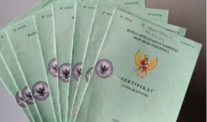 Tanah hasil sedimentasi di bibir Pantai Kutang Desa Labuhan Lamongan yang diduga telah bersertifikat