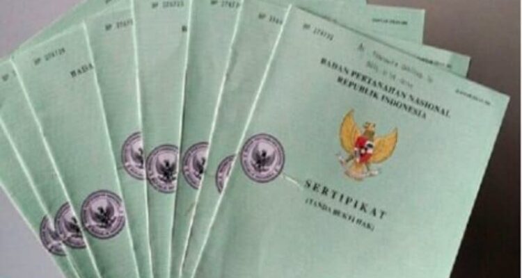 Tanah hasil sedimentasi di bibir Pantai Kutang Desa Labuhan Lamongan yang diduga telah bersertifikat