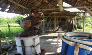 Petugas Polsek Brondong mengamankan barang bukti sabung ayam di persawahan Desa Sumberagung Lamongan