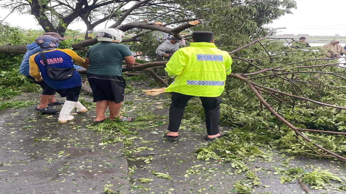 Petugas Polres Lamongan mengevakuasi pohon tumbang dan rumah terdampak puting beliung